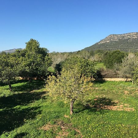 Son Sampol Villa Llucmajor  Bagian luar foto