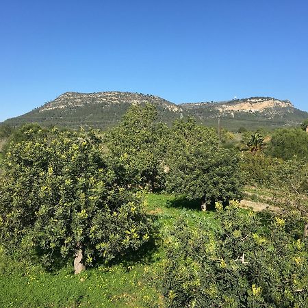 Son Sampol Villa Llucmajor  Bagian luar foto
