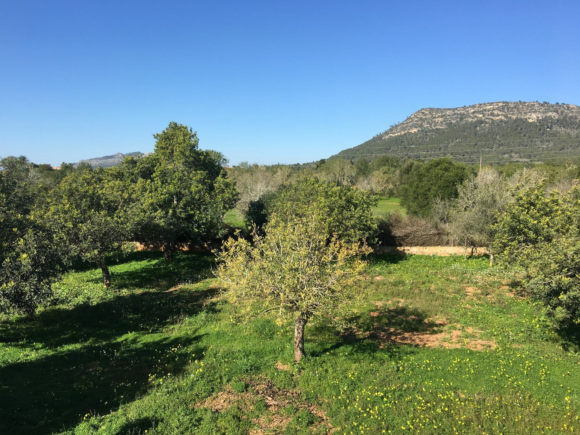 Son Sampol Villa Llucmajor  Bagian luar foto