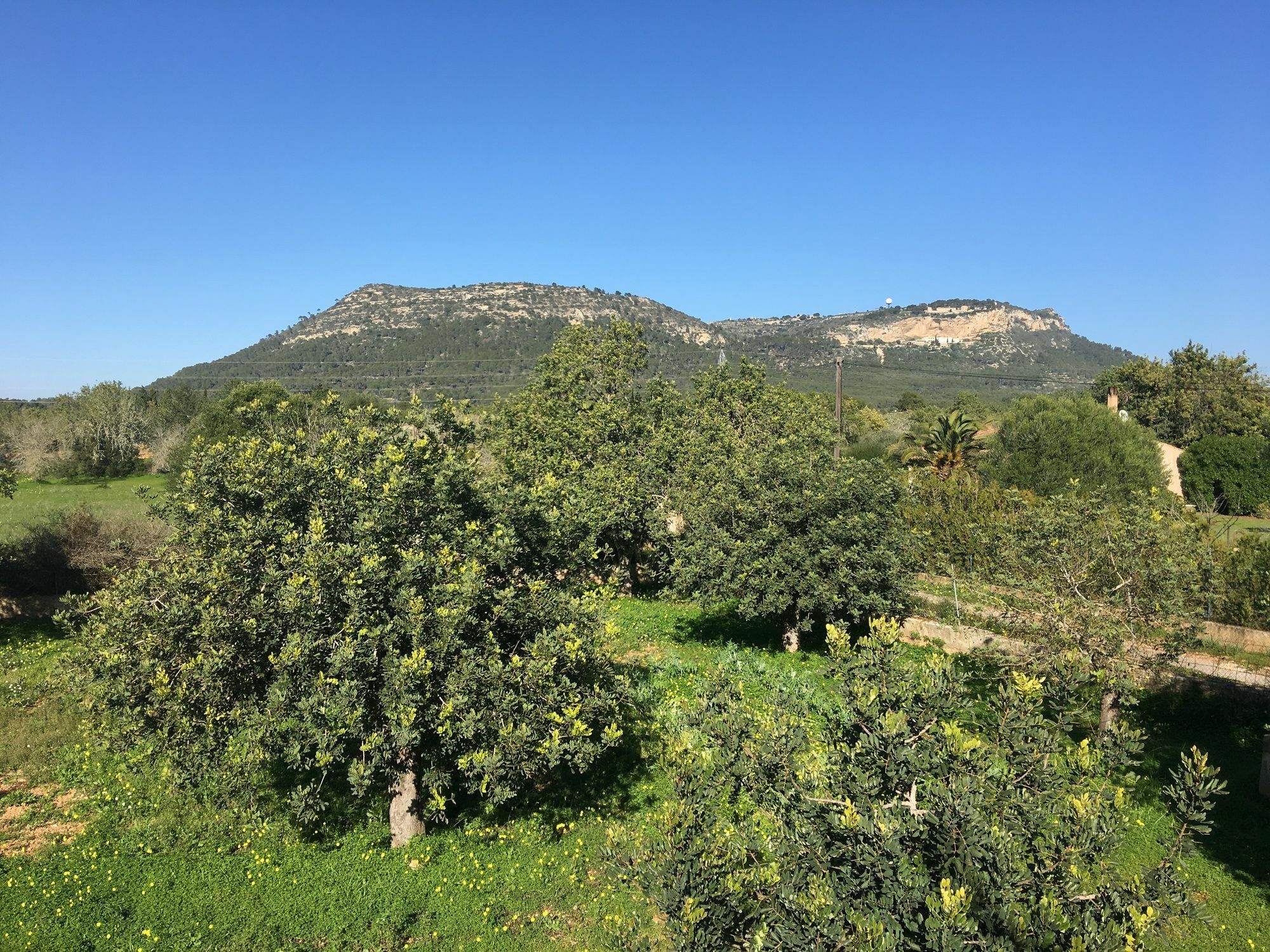 Son Sampol Villa Llucmajor  Bagian luar foto